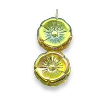 Load image into Gallery viewer, Czech glass XL hibiscus flower focal beads 4pc yellow ABx2 20mm