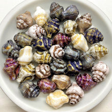 Load image into Gallery viewer, Czech glass conch seashell shell beads mix 16pc blue purple white 15x12mm