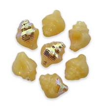 Load image into Gallery viewer, Czech glass conch seashell shell beads charms 8pc vanilla beige AB 15x12mm #19-Orange Grove Beads