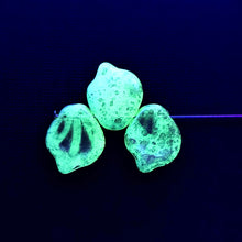 Load image into Gallery viewer, Czech glass wide petal leaf beads 20pc uranium sea green gold 15x12mm