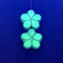 Load image into Gallery viewer, Czech glass table cut daisy flower beads 6pc uranium blue green 17mm
