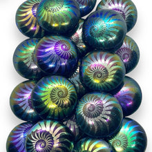 Load image into Gallery viewer, Czech glass laser tattoo nautilus puffed coin beads 4pc jet iris 20mm
