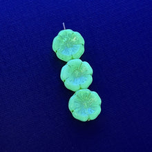 Load image into Gallery viewer, Czech glass hibiscus flower beads 8pc uranium blue green yellow 14mm
