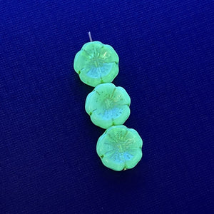 Czech glass hibiscus flower beads 8pc uranium blue green yellow 14mm
