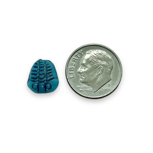 Czech glass trilobite fossil seashell beads 12pc blue 13x11mm