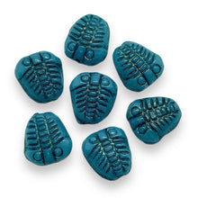 Load image into Gallery viewer, Czech glass trilobite fossil seashell beads 12pc blue 13x11mm
