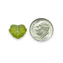 Load image into Gallery viewer, Czech glass maple leaf beads 15pc frosted green olivine silver 13x11mm
