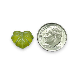 Czech glass maple leaf beads 15pc frosted green olivine silver 13x11mm