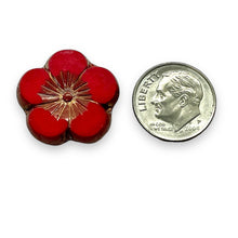 Load image into Gallery viewer, Czech glass XL table cut hibiscus flower beads 4pc red bronze 21mm
