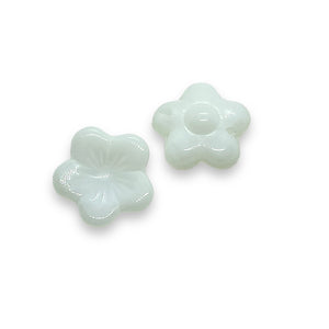 Czech glass XL button flower beads white 12pc 16mm