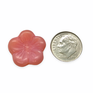 Czech glass XL hibiscus flower focal beads 4pc opaque pink AB 20mm
