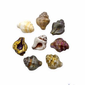 Czech glass conch seashell shell beads charms mix 16pc blue purple white 15x12mm-Orange Grove Beads