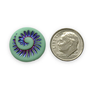Czech glass ammonite fossil seashell shell coin beads 6pc matte turquoise sliperit 19mm