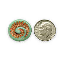 Load image into Gallery viewer, Czech glass nautilus fossil seashell shell coin beads 6pc turquoise copper 19mm
