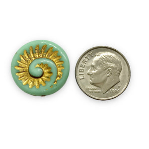 Czech glass nautilus fossil seashell shell coin beads 6pc turquoise gold 19mm