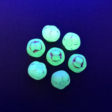 Load image into Gallery viewer, Czech glass apple fruit beads 10pc matte opaline white copper 12mm UV
