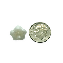 Load image into Gallery viewer, Czech glass XL bellflower cup beads 10pc white pearl 13x11mm
