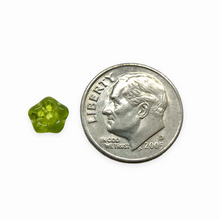 Load image into Gallery viewer, Czech glass bellflower flower beads 50pc translucent olivine green 6x4mm
