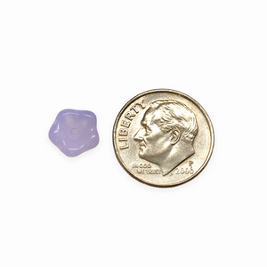 Czech glass bellflower beads 30pc purple violet opal 8x6mm