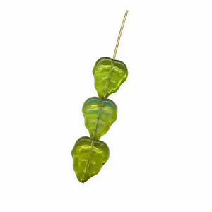 Czech glass birch leaf beads charms 20pc translucent olivine green AB 12x10mm