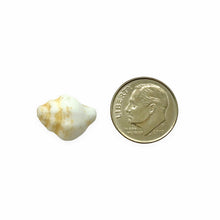 Load image into Gallery viewer, Czech glass conch seashell shell beads charms 8pc white beige decor 15x12mm
