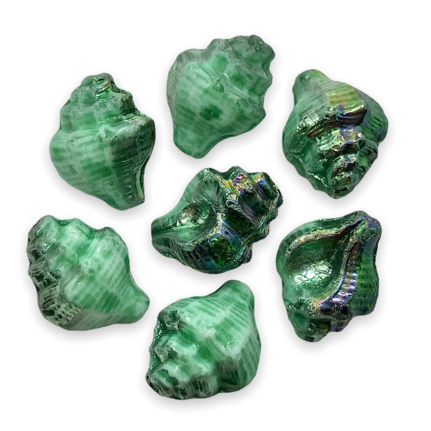 Czech glass conch seashell shell beads charms 8pc turquoise iris