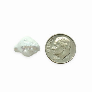 Czech glass conch seashell shell beads 8pc white AB 15x12mm