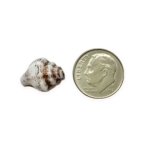 Czech glass conch seashell shell beads 8pc white brown 15x12mm