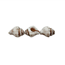 Load image into Gallery viewer, Czech glass conch seashell shell beads 8pc white brown 15x12mm
