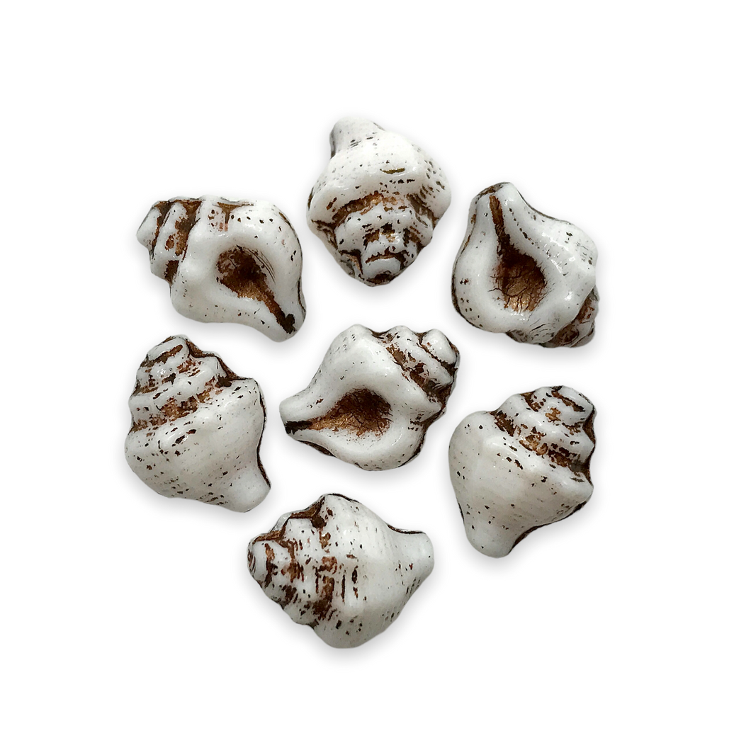Czech glass conch seashell shell beads 8pc white brown 15x12mm