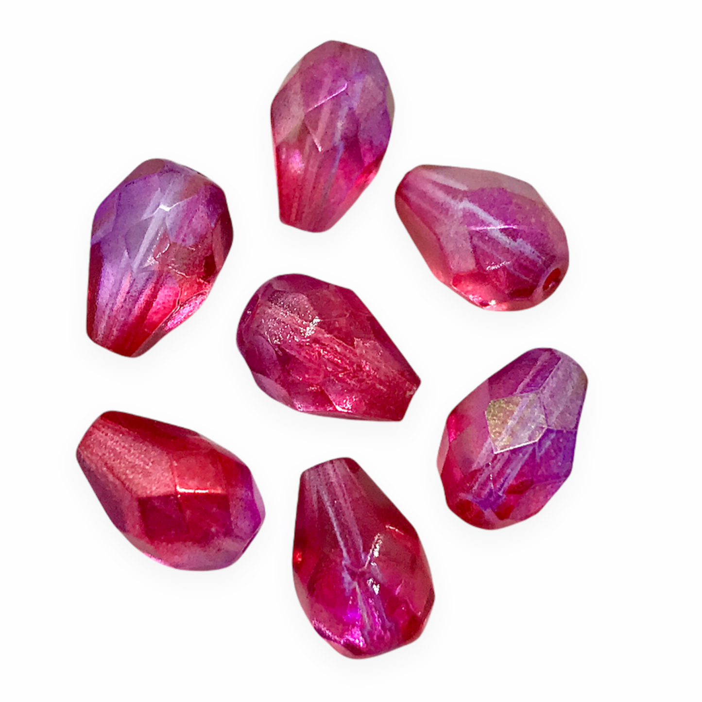 専用　596【Ashwood nurseries】【PINK ICE】 専用 596【Ashwood nurseries】【PINK ICE】 専用 596【Ashwood