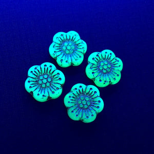Czech glass large daisy flower beads 4pc sea green opaline 18mm UV reactive