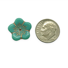 Load image into Gallery viewer, Czech glass large shallow flower cup beads 10pc turquoise copper 16mm
