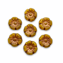Load image into Gallery viewer, Czech glass hibiscus flower beads 12pc milky yellow copper 10mm-Orange Grove Beads
