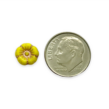 Load image into Gallery viewer, Czech glass tiny hibiscus flower beads 16pc opaque yellow copper 8mm
