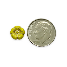 Load image into Gallery viewer, Czech glass tiny hibiscus flower beads 16pc opaque yellow gold 8mm
