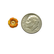 Load image into Gallery viewer, Czech glass tiny hibiscus flower beads 16pc pumpkin orange gold 8mm
