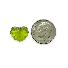 Load image into Gallery viewer, Czech glass maple leaf beads 12pc translucent olivine green 13x11mm
