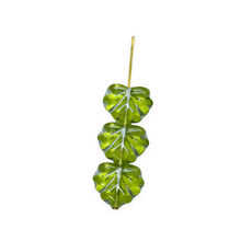 Load image into Gallery viewer, Czech glass maple leaf beads 15pc olivine green silver 13x11mm
