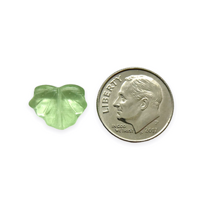 Czech glass maple leaf beads 12pc translucent light green 13x11mm