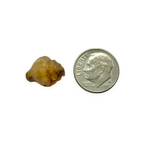 Czech glass conch seashell shell beads 8pc opaline beige copper 15x12mm #16