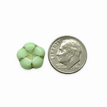 Load image into Gallery viewer, Czech glass puffed flower beads 10pc mint green gold UV 12mm
