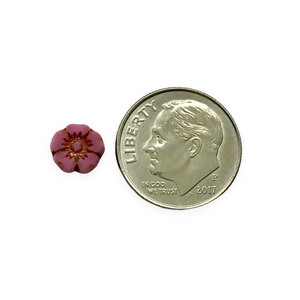 Czech glass XS table cut hibiscus flower beads 24pc pink silk bronze 7mm